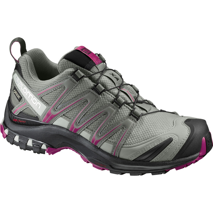 Salomon XA PRO 3D GTX® W Zapatillas Trail Running Mujer - Plateadas - Colombia (60475-MDBK)